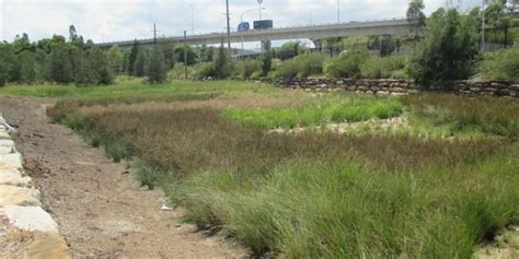 Undercover Landscapes > Bioretention Basin Installation