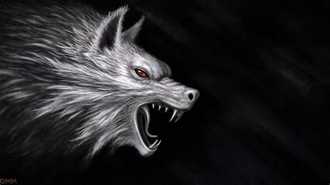 Black Wolf 4K Wallpapers - Top Free Black Wolf 4K Backgrounds ...