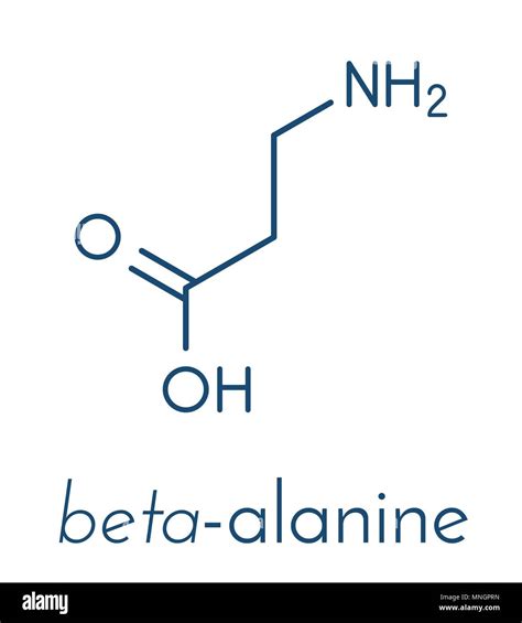 Beta-alanine molecule. Naturally occurring beta amino acid. Precursor ...