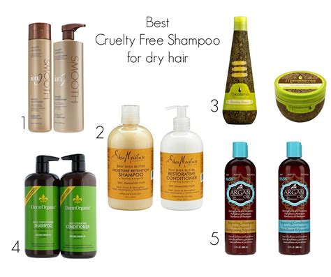 BEST CRUELTY FREE SHAMPOO FOR DRY HAIR