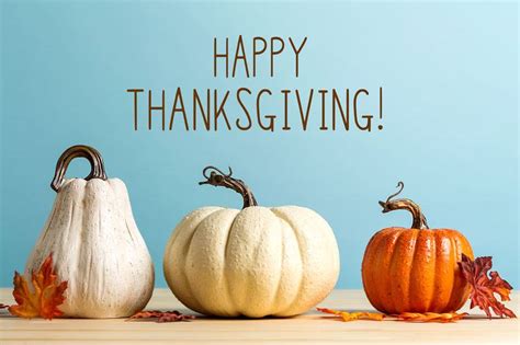 Happy Thanksgiving from the Sterling Volunteers team!