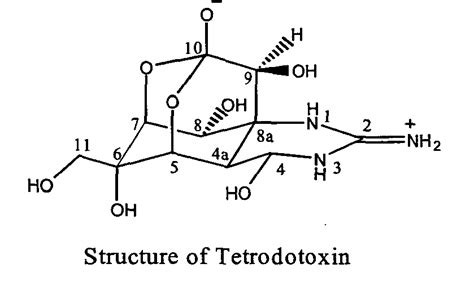 EP1645277A1 - Stable tetrodotoxin freeze drying medicinal preparation ...