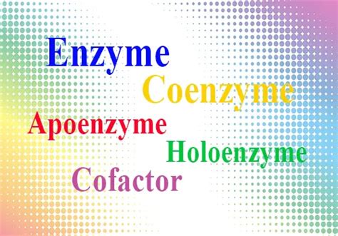 Enzyme, Coenzyme, Apoenzyme, Holoenzyme, and Cofactor