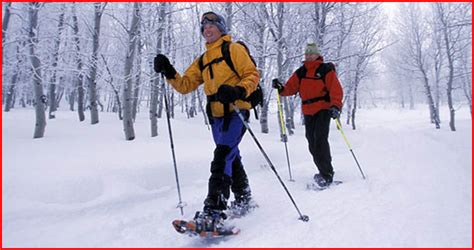 How to Snowshoe: Basic Techniques You Should Know