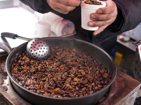 Where to Try Beondegi, or Silkworm Pupae, in South Korea