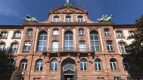 Senckenberg Museum | , Germany | Sights - Lonely Planet