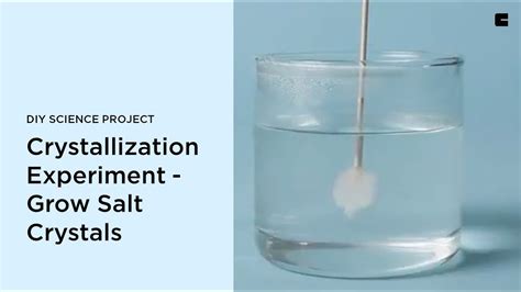 Crystallization Experiment - Grow Salt Crystals | DIY Science Project ...