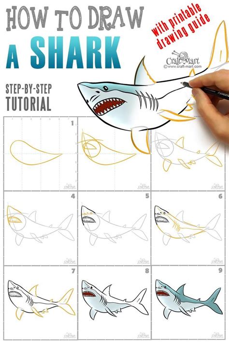 How to draw a shark in 9 easy steps | Shark drawing, Easy drawings ...