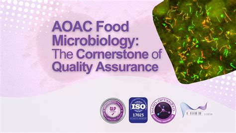 Unveiling AOAC Food Microbiology: Ensuring Quality Assurance in Food ...