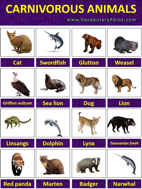 Carnivorous Animals Clipart