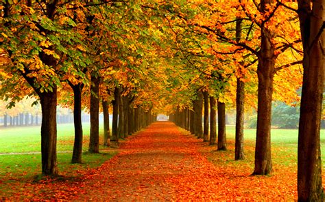 Autumn Pictures for Desktop Backgrounds ·① WallpaperTag