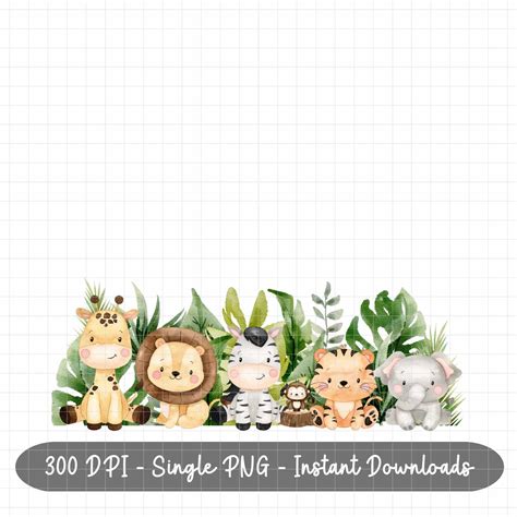 Safari Baby Animals PNG Kids Animals Sublimation Safari - Etsy