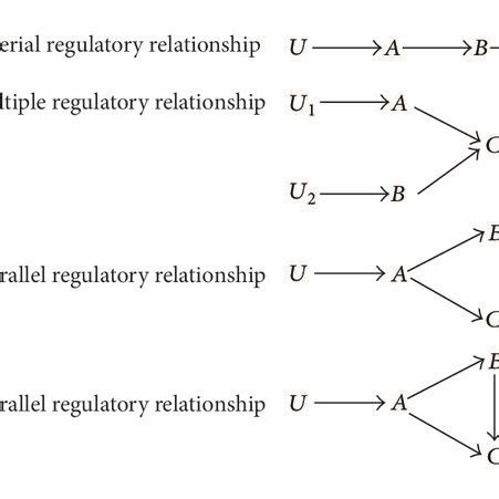 Possible gene regulatory relationships within a three-gene module. The ...