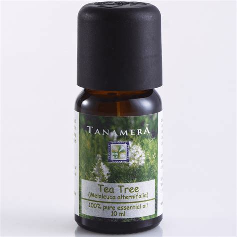 Essential Oil Tea Tree – Tanamera