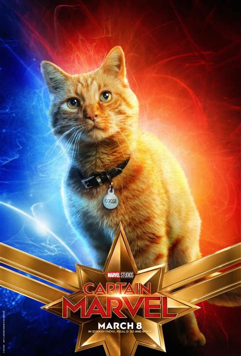 Captain Marvel's Cat Gets His Own Character Poster (See Them All Here ...