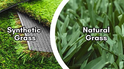 Grass vs. Turf: The Great Green Debate - Bethel Farms