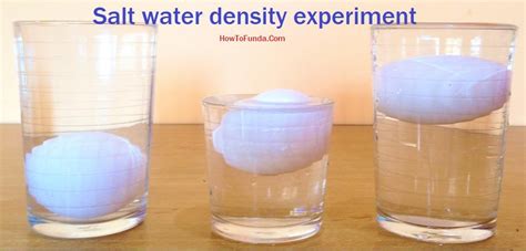 How to perform Water Density Science Experiment – DIY - Science ...