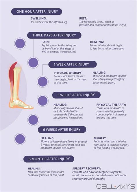 Calf Strain Recovery Time - Cellaxys