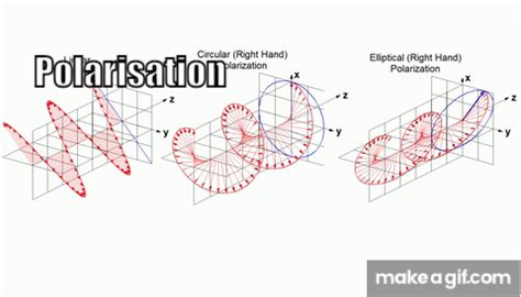 Linear, Circular and Elliptical Polarization Animation in a Single Shot ...