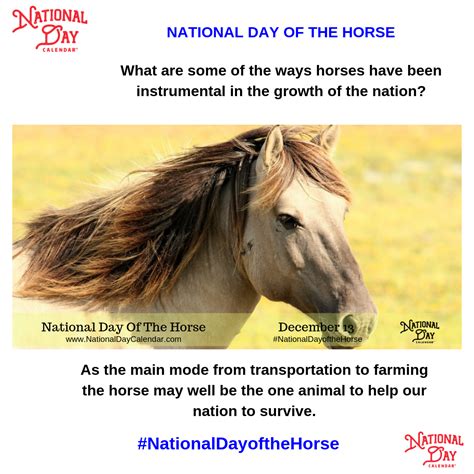 NATIONAL DAY OF THE HORSE - December 13 | Horses, National day, Horse ...