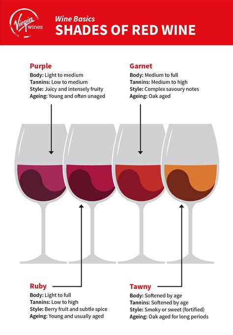 Quick Guide to Red Wine | Wine Guide | Virgin Wines