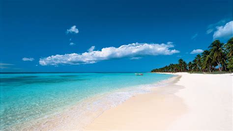 Best beaches of Punta Cana, Dominican Republic | Experience Caribbean