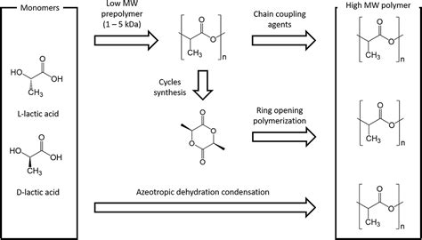 Frontiers | A Perspective on Polylactic Acid-Based Polymers Use for ...