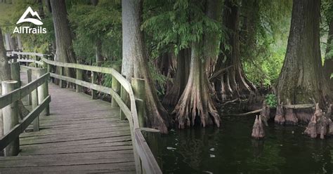 Best Trails in Reelfoot Lake State Park - Tennessee | AllTrails