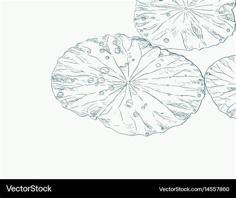 Aggregate more than 135 lotus with leaf drawing latest - seven.edu.vn