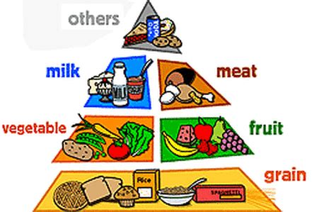 Food Pyramid - Nutrition