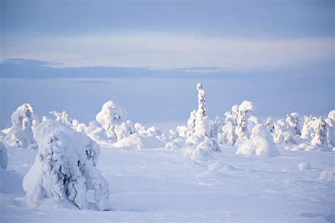 Snow | Film Lapland