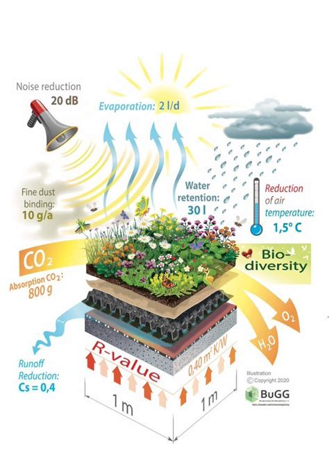 Squaremetre of Greenroof (c)BuGG | Green roof benefits, Green roof ...