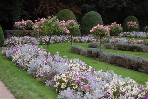 rose garden landscaping ideas - Google Search | Sidewalk Garden Ideas ...