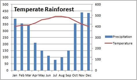 Temperate Rainforest - Home