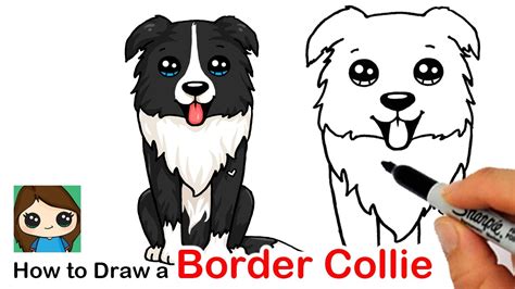 How to Draw a Border Collie Puppy Dog Easy