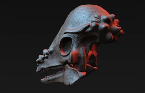 3D pachycephalosaurus skull - TurboSquid 1228853