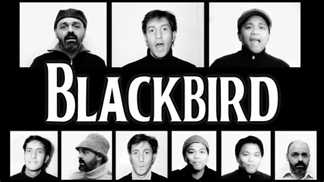 Blackbird (The Beatles) - A Cappella cover - YouTube - Linkis.com