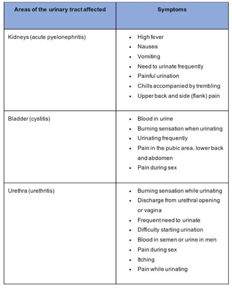 Urinary Tract Infection (UTI): Symptoms, & Treatment