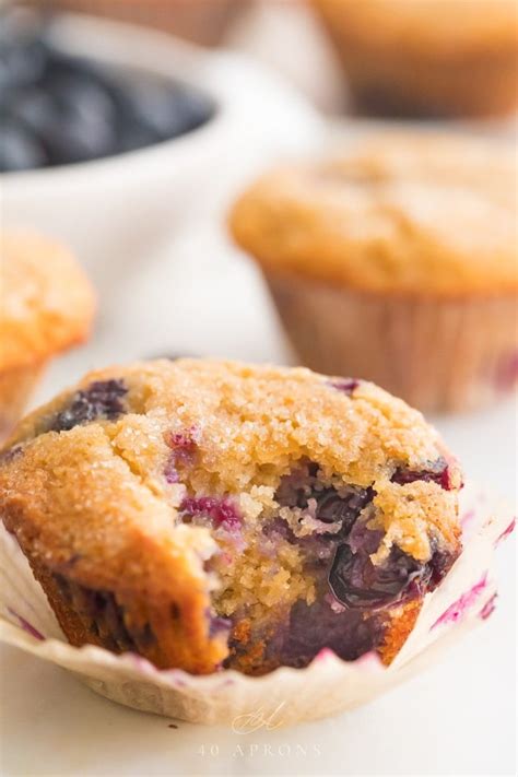 Paleo Blueberry Muffins (Gluten Free, Grain Free) - 40 Aprons