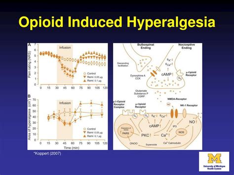 PPT - What’s New I n Acute Pain Management: Reducing Our Dependence O n ...