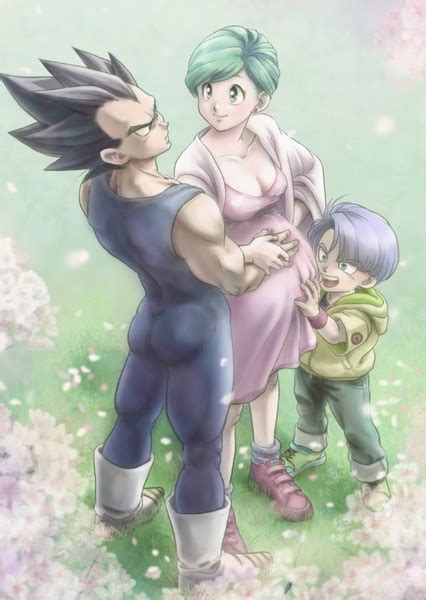 Vegeta and Bulma Fan Casting