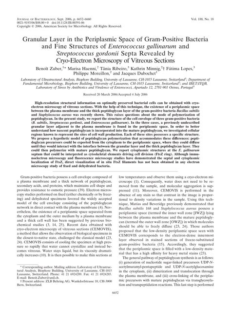 (PDF) Granular Layer in the Periplasmic Space of Gram-Positive Bacteria ...