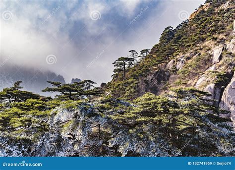 Cliffs in Huangshan National Park at Foggy Winter Evening Stock Image ...