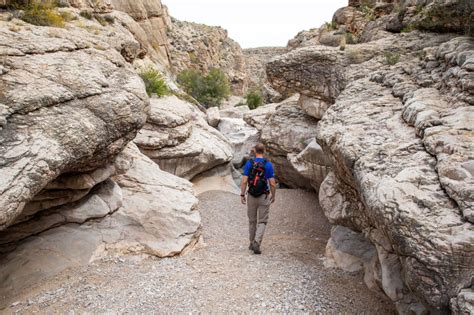 15 Great Hikes to do in Big Bend National Park | Earth Trekkers