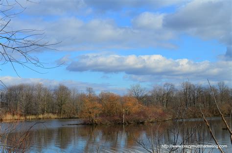 Lake Pymatuning, Feb 2012. Original photo by Maria Firkaly | Natural ...