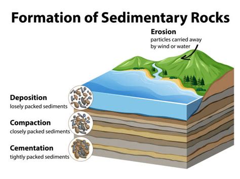 6,400+ Sedimentary Rock Stock Illustrations, Royalty-Free Vector ...