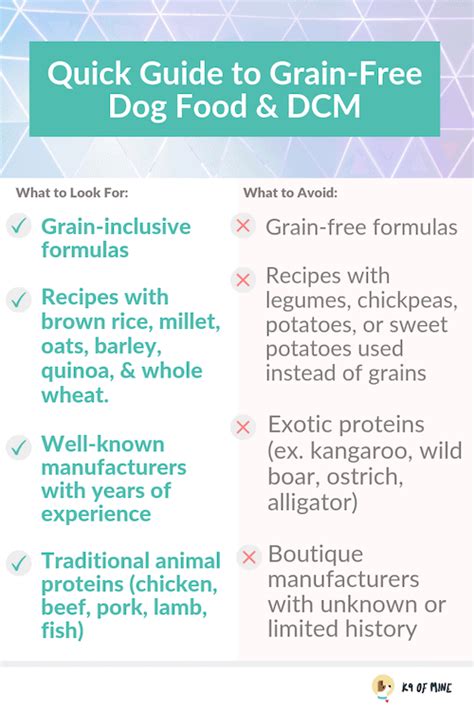 Discover the Best Grain-Free Dog Food: Top 10 Products Reviewed and ...