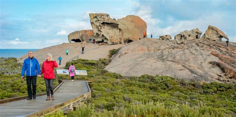 3 of the best Kangaroo Island Tours from Adelaide