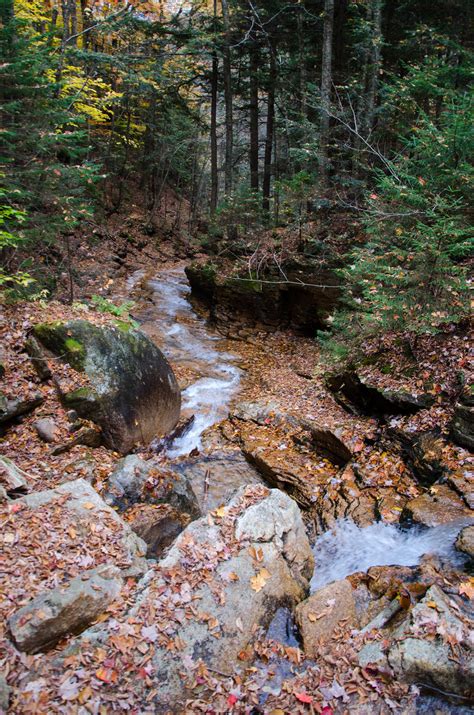 White Mountains Fall Foliage 252 by FairieGoodMother on DeviantArt