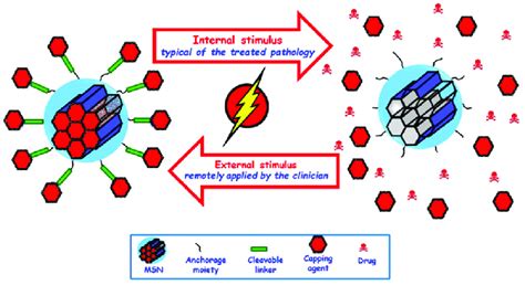 Schematic representation of the different internal and external stimuli ...